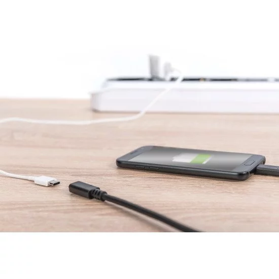Digitus Câble de rallonge USB Type-C, Type-C - C Digitus Câble de rallonge USB Type-C, Type-C - C