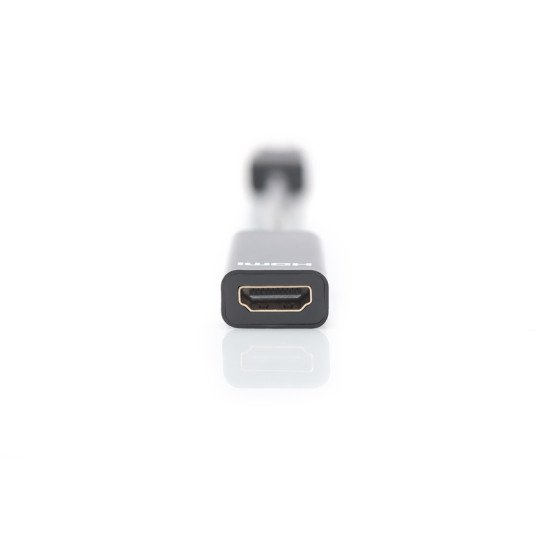 ASSMANN Electronic AK-990903-002-S câble vidéo et adaptateur 0,15 m DisplayPort HDMI Type A (Standard) Noir