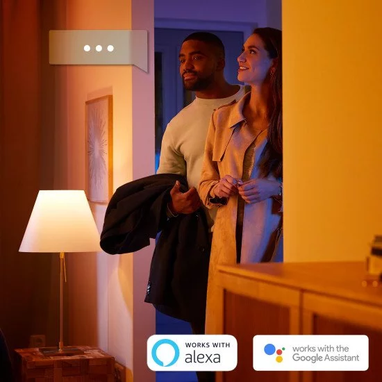 Philips Hue White and Color ambiance Lampe portable Go (dernier modèle) Philips Hue White and Color ambiance Lampe portable Go (dernier modèle)