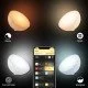 Philips Hue White and Color ambiance Lampe portable Go (dernier modèle) Philips Hue White and Color ambiance Lampe portable Go (dernier modèle)