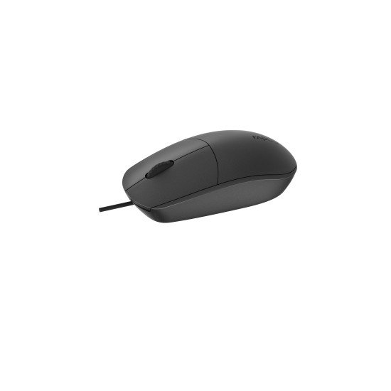 Rapoo N100-BK souris Ambidextre USB Type-A Optique 1600 DPI