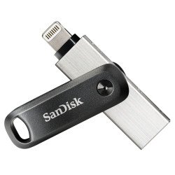 Sandisk SDIX60N-256G-GN6NE lecteur USB flash 256 Go 3.2 Gen 1 (3.1 Gen 1) Gris, Argent