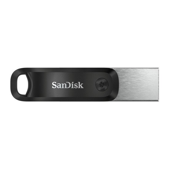 Sandisk SDIX60N-256G-GN6NE lecteur USB flash 256 Go 3.2 Gen 1 (3.1 Gen 1) Gris, Argent