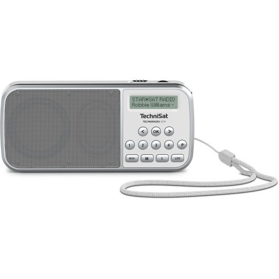 TechniSat TECHNIRADIO RDR Portable Analogique et numérique Gris, Blanc