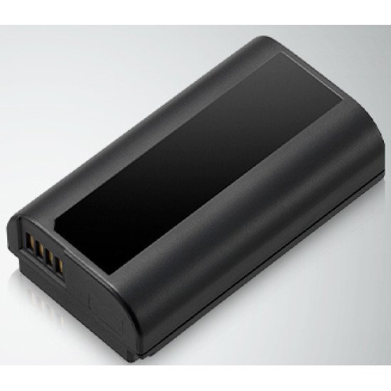 Panasonic DMW-BLJ31E batterie de caméra/caméscope Lithium-Ion (Li-Ion) 3100 mAh