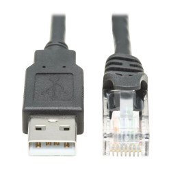 Tripp Lite U009-006-RJ45-X changeur de genre de câble RJ-45 USB 2.0 Type-A Noir