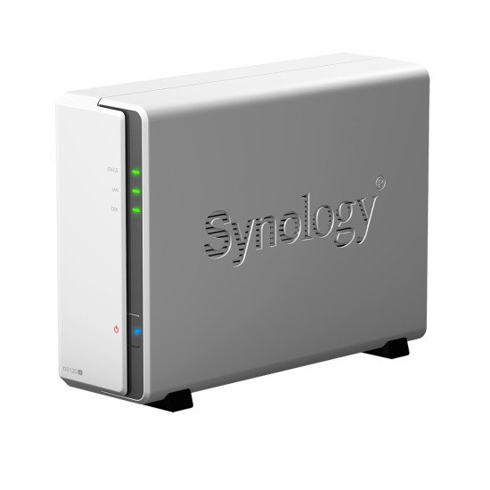 Synology DiskStation DS120j Ethernet/LAN Tour Gris NAS