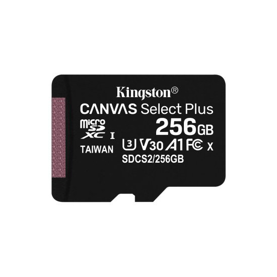 Kingston carte MicroSDXC 256 Go Classe 10 UHS-I (sans adaptateur SD)