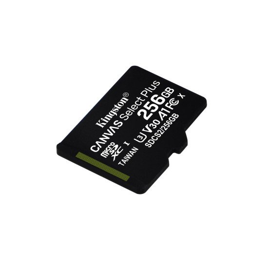 Kingston carte MicroSDXC 256 Go Classe 10 UHS-I (sans adaptateur SD)