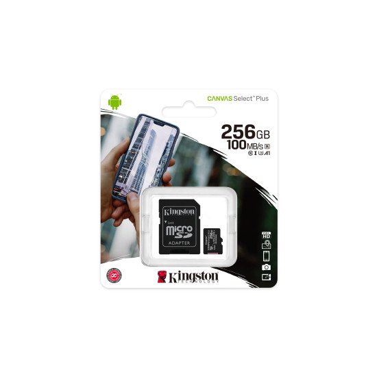 Kingston carte MicroSDXC 256 Go Classe 10 UHS-I