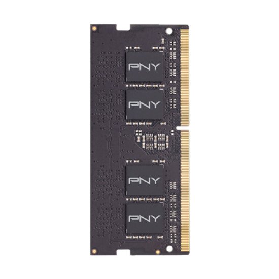 PNY MN16GSD42666 mémoire 16 Go 1 x 16 Go DDR4 2666 MHz PNY MN16GSD42666 mémoire 16 Go 1 x 16 Go DDR4 2666 MHz