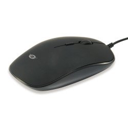 Conceptronic REGAS01B souris Bureau Ambidextre USB Type-A Optique 1200 DPI