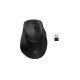 HP Tilt Ergonomic Mouse 725M Tilt Ergonomic Mouse 725M EURO souris