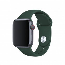 BeHello BEHPRMSWS006 accessoire pour smartwatch Bande Vert Silicone BeHello BEHPRMSWS006 accessoire pour smartwatch Bande Vert Silicone