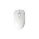 Rapoo M200 Silent souris Ambidextre RF sans fil + Bluetooth Optique 1300 DPI