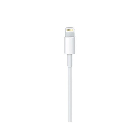 Apple MKQ42ZM 2 m Blanc