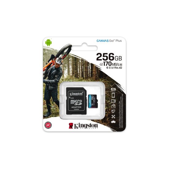 Kingston Technology Canvas Go! Plus mémoire flash 256 Go SD Classe 10 UHS-I