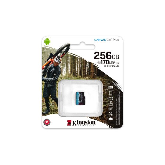 Kingston Technology Canvas Go! Plus mémoire flash 256 Go MicroSD Classe 10 UHS-I