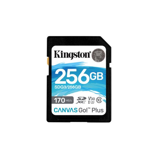 Kingston Technology Canvas Go! Plus mémoire flash 256 Go SD Classe 10 UHS-I