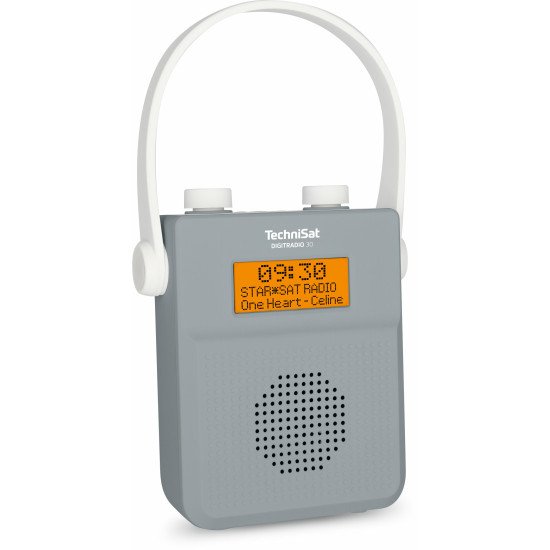 TechniSat Digitradio 30 Portable Numérique Gris
