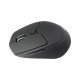 Conceptronic LORCAN02B Ergo souris Bureau Droitier Bluetooth Optique 1600 DPI