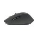 Conceptronic LORCAN02B Ergo souris Bureau Droitier Bluetooth Optique 1600 DPI