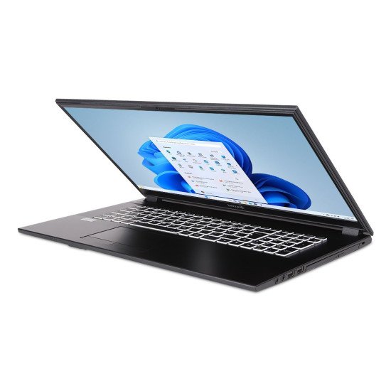 TERRA 1220855 laptop Intel® Core™ i3 i5-1334U Ordinateur portable 43,9 cm (17.3") Full HD 16 Go DDR4-SDRAM 500 Go SSD Wi-Fi 6 (802.11ax) Windows 11 Home Allemand Gris