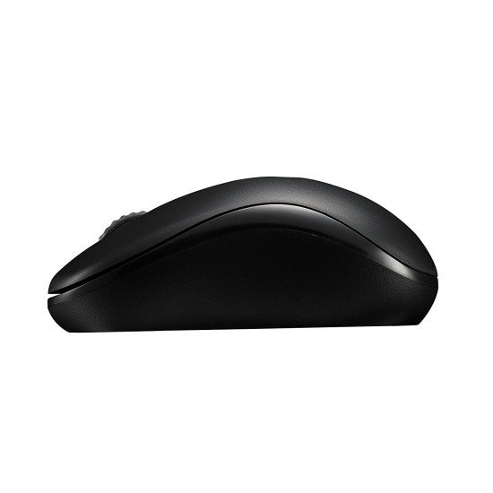 Rapoo M10 Plus souris Ambidextre RF sans fil Optique 1000 DPI