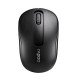 Rapoo M10 Plus souris Ambidextre RF sans fil Optique 1000 DPI