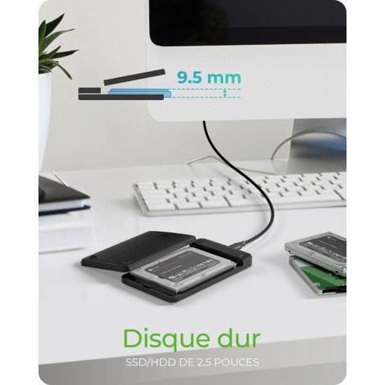 ICY BOX IB-201T-CU31 Enceinte ssd Noir 2.5"