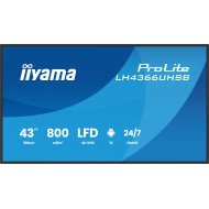 iiyama LH4366UHSB-B1AG Écran d'affichage dynamique Écran plat de signalisation numérique 109,2 cm (43") LCD Wifi 800 cd/m² 4K Ultra HD Noir Intégré dans le processeur Android 24/7