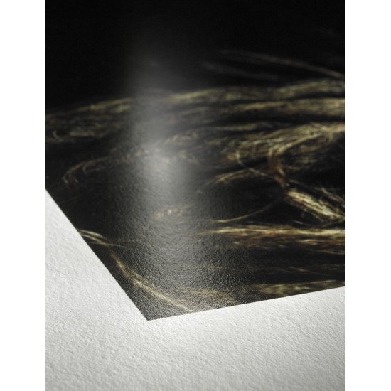 Hahnemühle 10640308 papier photos A4 Blanc Gloss