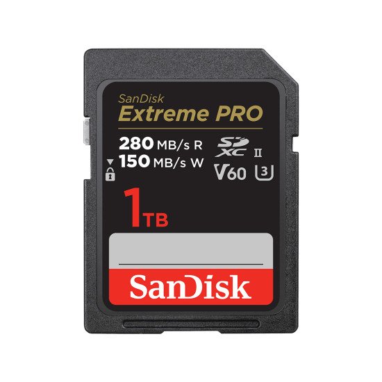 SanDisk SDSDXEP-1T00-GN4IN mémoire flash