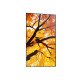Sharp MultiSync M432 Écran plat de signalisation numérique 108 cm (42.5") LCD 550 cd/m² 4K Ultra HD Noir