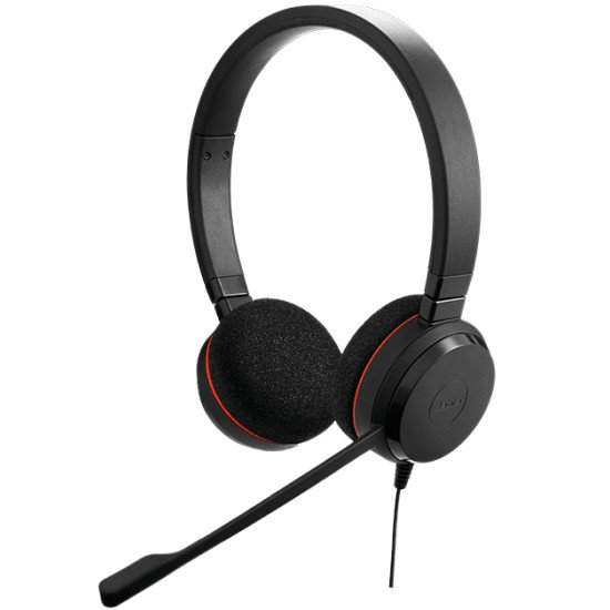 Jabra Evolve 20 MS Duo USB-C Casque Arceau USB Type-C Noir