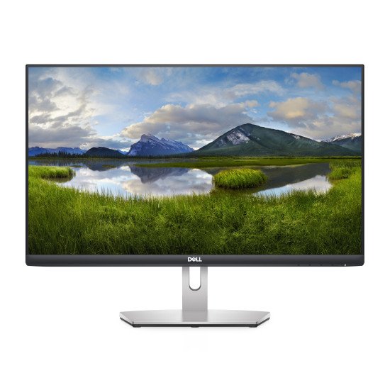 DELL S Series S2421HN écran PC 60,5 cm (23.8") 1920 x 1080 pixels Full HD LCD Gris