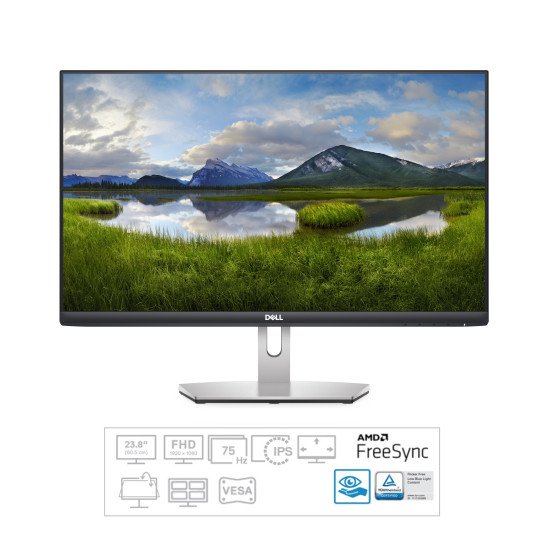 DELL S Series S2421HN écran PC 60,5 cm (23.8") 1920 x 1080 pixels Full HD LCD Gris