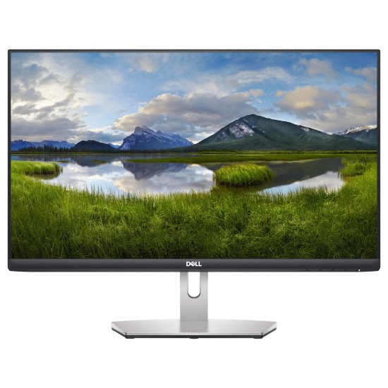 DELL S Series S2421HN écran PC 60,5 cm (23.8") 1920 x 1080 pixels Full HD LCD Gris