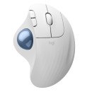 Logitech Ergo M575S souris Bureau Droitier RF sans fil + Bluetooth Trackball 2000 DPI