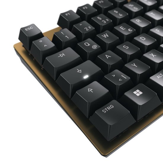 CHERRY KC 200 MX clavier USB QWERTZ Allemand Noir, Bronze