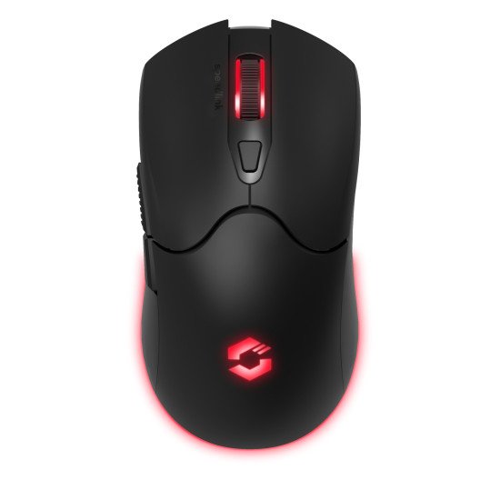 SPEEDLINK SL-680102-BK souris Gaming USB Type-A 4800 DPI