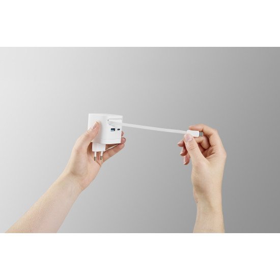 Intenso 7806520 adaptateur de puissance & onduleur Intérieure 65 W Noir