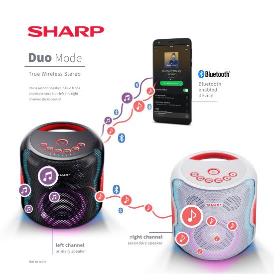 Sharp PS-919 Système d'enceinte portable 2.1 Noir 130 W