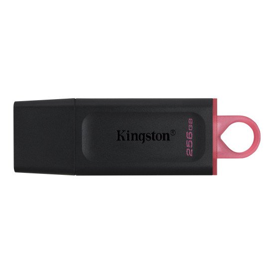 Kingston Technology DataTraveler Exodia lecteur USB flash 256 Go USB Type-A 3.2 Gen 1 (3.1 Gen 1) Noir