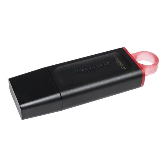 Kingston Technology DataTraveler Exodia lecteur USB flash 256 Go USB Type-A 3.2 Gen 1 (3.1 Gen 1) Noir Kingston Technology DataTraveler Exodia lecteur USB flash 256 Go USB Type-A 3.2 Gen 1 (3.1 Gen 1) Noir