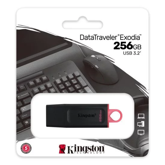 Kingston Technology DataTraveler Exodia lecteur USB flash 256 Go USB Type-A 3.2 Gen 1 (3.1 Gen 1) Noir Kingston Technology DataTraveler Exodia lecteur USB flash 256 Go USB Type-A 3.2 Gen 1 (3.1 Gen 1) Noir