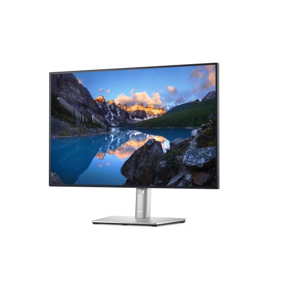 DELL UltraSharp U2421E 61,2 cm (24.1") 1920 x 1200 pixels WUXGA LCD Noir, Argent