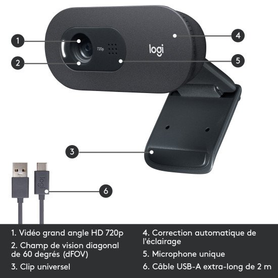 Logitech C505 webcam 1280 x 720 pixels USB Noir