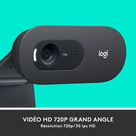 Logitech C505 webcam 1280 x 720 pixels USB Noir