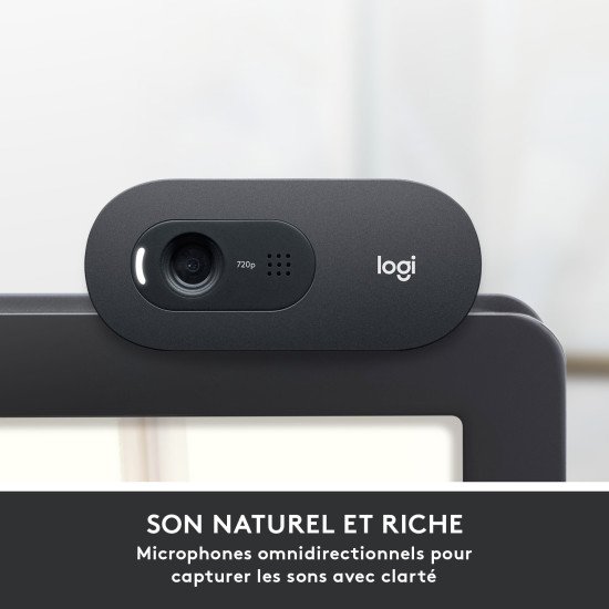 Logitech C505 webcam 1280 x 720 pixels USB Noir